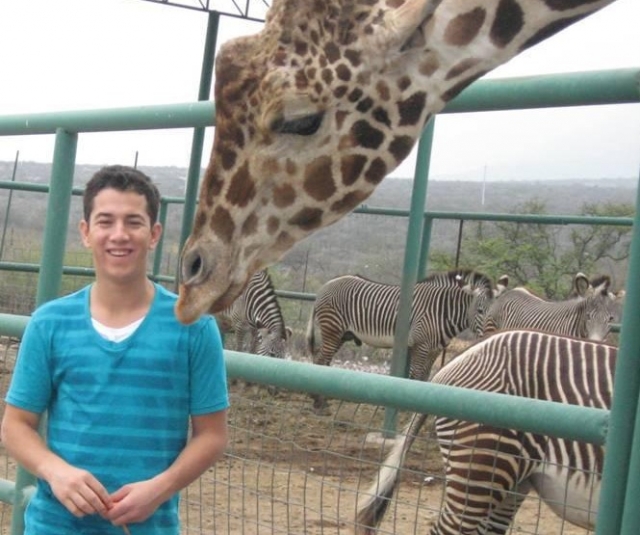  With the giraffes 